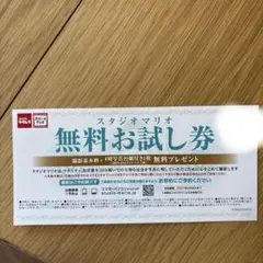 スタジオマリオ 無料お試し券 撮影基本料＋四切写真1枚のサムネイル