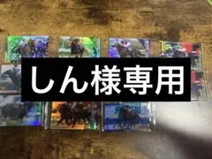 しん様専用　サラブレッドホースコレクション4rのサムネイル