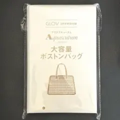 新品未開封 Aquascutum 大容量ボストンバッグ GLOW 3月号特別付録