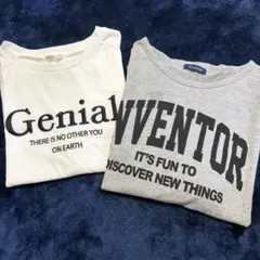 Tシャツ　レディース　3Lサイズ2枚組