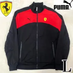 Item thumbnail for item 7c3f7735-0afe-44c1-9931-4da76263c376