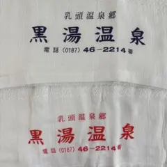 Item thumbnail for item ae2032a8-5266-45c8-b48a-891927ce09df