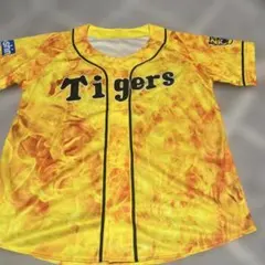 Item thumbnail for item f238f3c8-556b-45a5-90c8-b0a7257f36a1