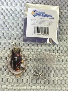 つながるアクリルチャーム ウインマイティー　レア