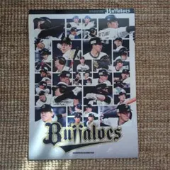 Item thumbnail for item 818beff1-d013-4b92-bdc9-2ce3cddb40d1