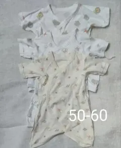 Item thumbnail for item c3551c74-c848-4641-89a3-ceeb25ecb039