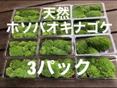 yoranda様 リクエスト 3点 まとめ商品