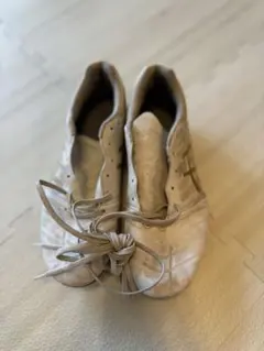 アシックス　DS LIGHT 25センチ