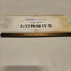 ヤマダ電機 お買物優待券 10枚