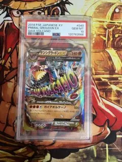 R*I様 ゲンシグラードンEX XY BREAK PSA10 ゲンシグラードンEX XY BREAK PSA10 - メルカリ