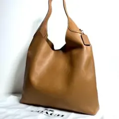 【国内正規品・極上美品】現行型 コーチ ブルックリン 39 ワンショルダーバッグ