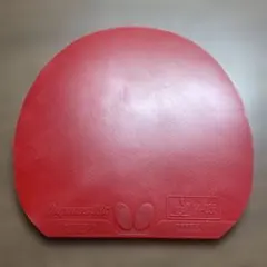 ディグニクス09C 赤 特厚 1枚