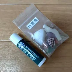 竹富島 貝殻とサンゴのセット