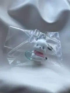 めじるしアクセサリー　ポチャッコ