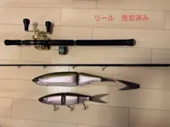 ビックベイト　ジャイアントベイト　引退セット　シーバス　アカメ　バス　セット売り 2026年最新】#sopmodebrの人気アイテム - メルカリ