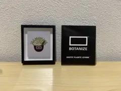 botanize マグネット 2025年最新】botanize マグネットの人気アイテム - メルカリ