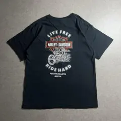 L Tシャツ カニエウエスト ハーレーダビッドソン リサ ブラックピンク
