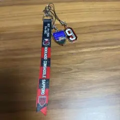 北海道コンサドーレ札幌vsいわきFC戦 函館ボンフィン