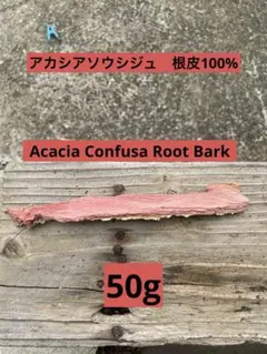 Item thumbnail for item 15c5ba9a-a027-476f-bee8-73f2688dcf32