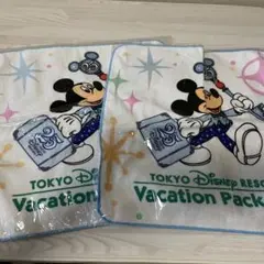 ディズニー　25周年　vacation package タオル　2枚セット