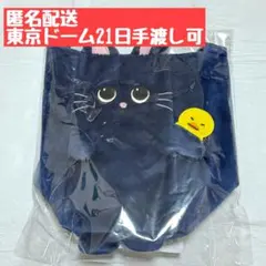 RIIZE RIIZING LOUD ファンライトバッグ ウォンビン ③