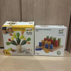 PLANTOYS バランシングサボテン ジオメトリックペグボード セットのサムネイル