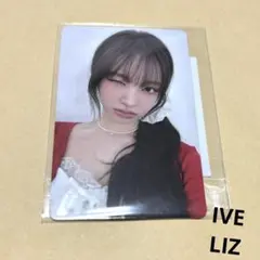 IVE DIVE JAPAN 会員限定くじ ソロタペストリー LIZ - メルカリ