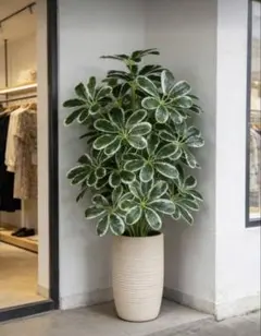 Item thumbnail for item 8555d92d-8283-462c-82c4-05b35381c998