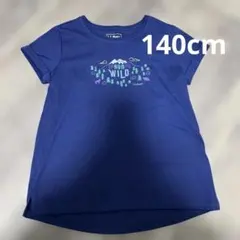 Item thumbnail for item 35e8b93b-4646-4763-b72b-990ed6322597