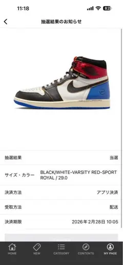 NIKE&UNION &フラグメントハイカットスニーカー 29.0