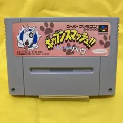 スーパーファミコン SFC ソフト 平成イヌ物語バウ ポップンスマッシュ