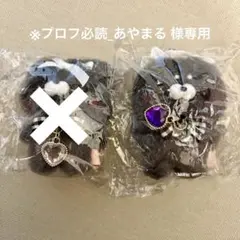 ※プロフ必読_あやまる 様 専用