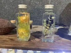 ハーバリウム 植物標本 2本セット ドライフラワー deuxR デュエール