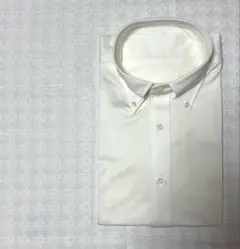 【新品・未使用】淡クリーム色 メンズLサイズ相当 ボタンダウンシャツ 綿100%