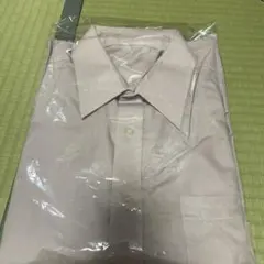 Item thumbnail for item 43c26c1d-5302-4b5c-921b-3575d6aba65a