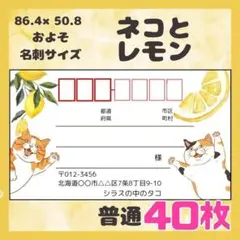 【ネコとレモン】宛名シール　差出人シール　普通サイズ　40枚　シンプル　動物