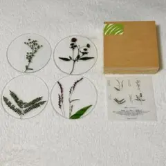 Item thumbnail for item a0a44661-69d8-4315-8ecc-382aca4183eb