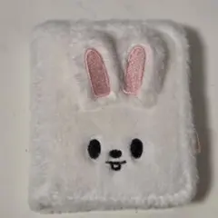 スキズ 韓国 ポップアップ トレカ ケース リービット リノ