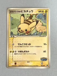ポケパークのピカチュウ ポケパークプレミアムファイル 004/009 - メルカリ
