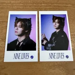 超特急 カイ NINE LIVES ミニフォト 2枚セット