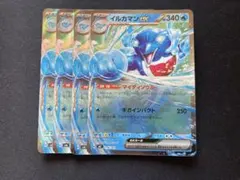 イルカマンex rr 4枚のサムネイル