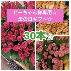 ピーちゃん様専用です☆