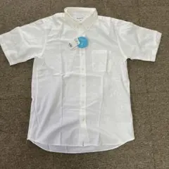 Item thumbnail for item 807353bc-8a40-4f5c-b007-b795fe0a2f71