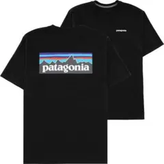 Patagonia tシャツ