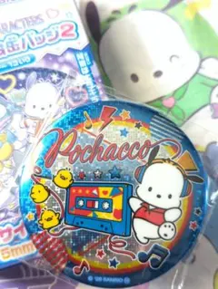 サンリオキャラクターズ　キラキラBIG缶バッジ2　ポチャッコ　サンリオ　缶バッチ
