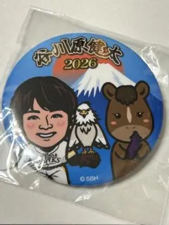 若鷹ガチャ ホークス 中村晃 16点セット 若鷹ガチャ 中村晃選手 まとめ売り - メルカリ