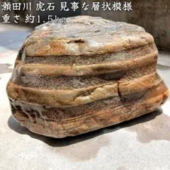 2026年最新】瀬田川 虎石の人気アイテム - メルカリ