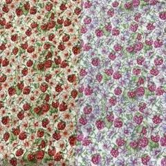 Item thumbnail for item 97cc4556-17df-4c4d-98b2-cfc479ab18df