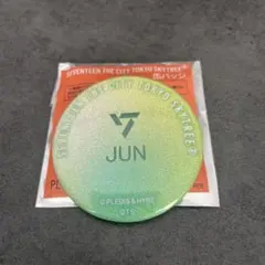 SEVENTEEN JUN 東京スカイツリー 缶バッジ