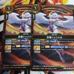 赤導シャニエル